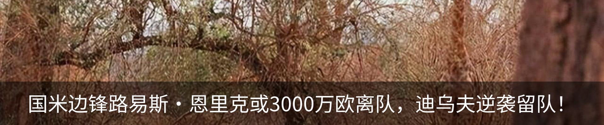 资讯中心