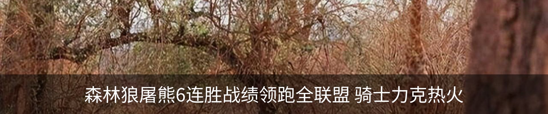 资讯中心