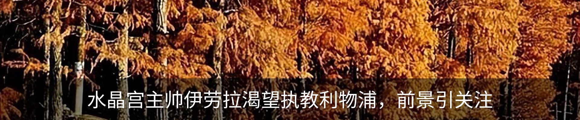 资讯中心
