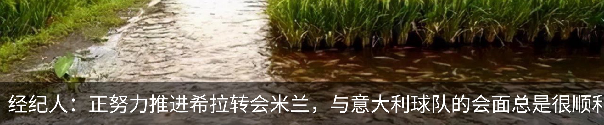 资讯中心
