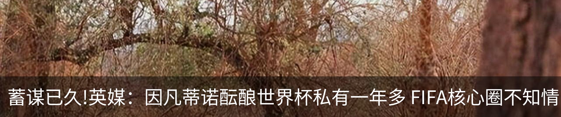 资讯中心