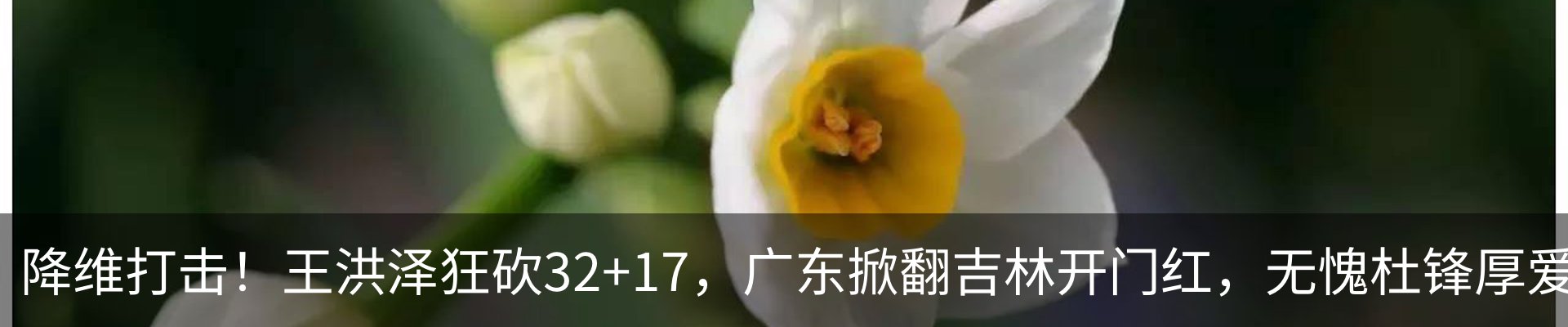 资讯中心